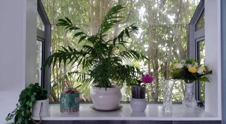 foto12