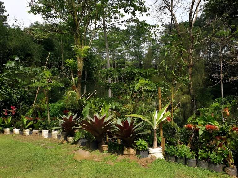 foto34