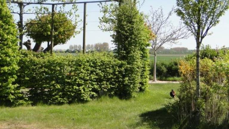foto16