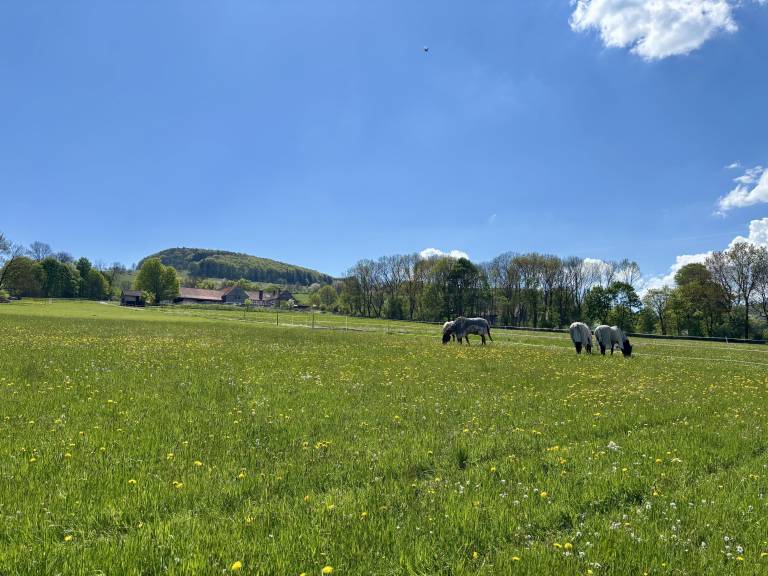 Weiherhof — photo 3