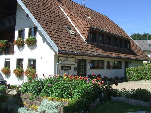foto34