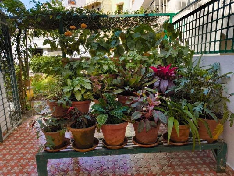 foto13
