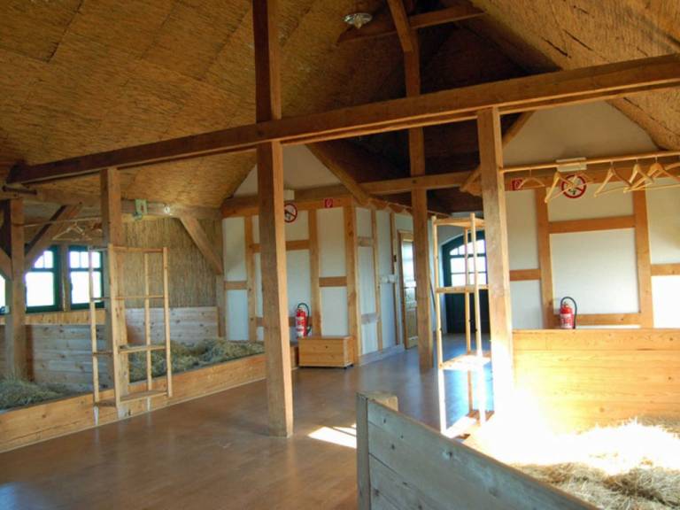 foto1