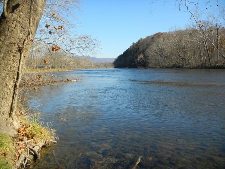 Cabin Luray