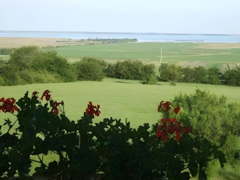 foto23