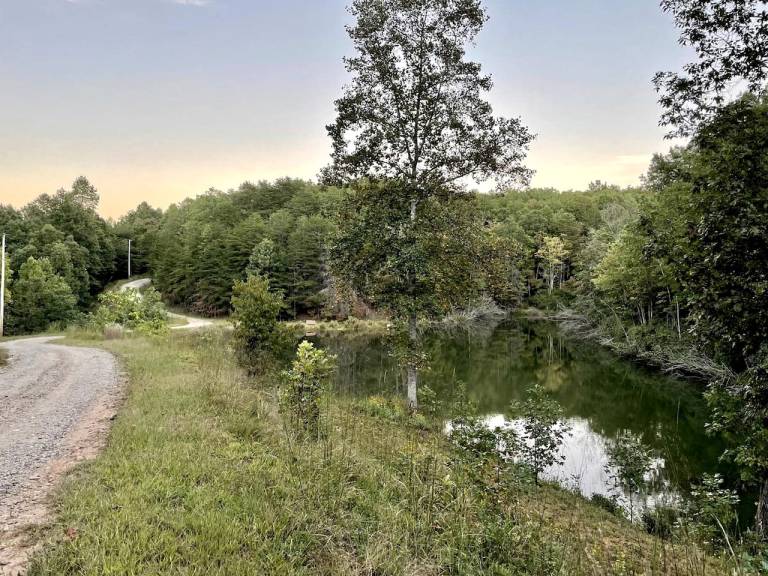 foto21