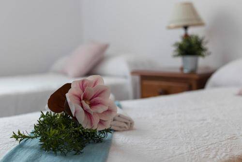 Apartamento Cádiz