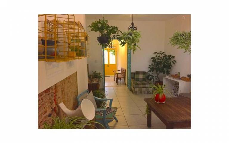Casa Canario — photo 2