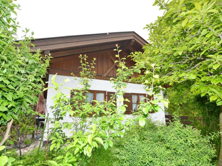 foto19