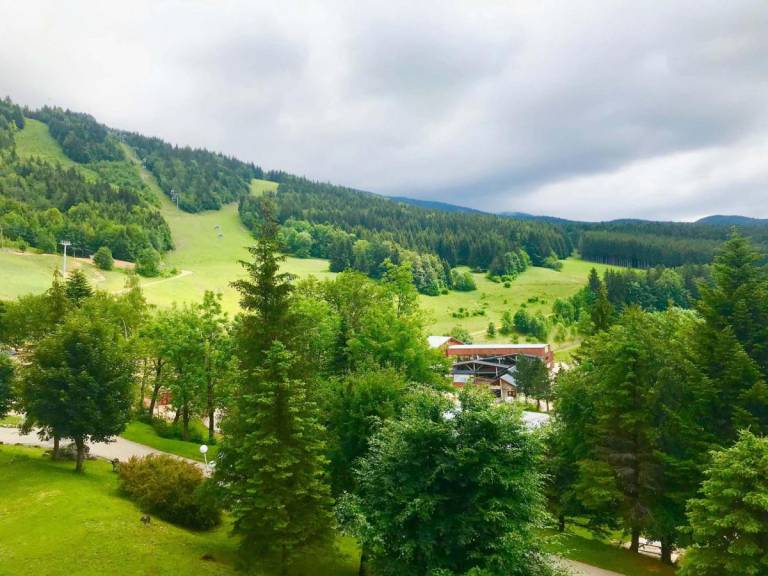 Appartement Villard-de-Lans