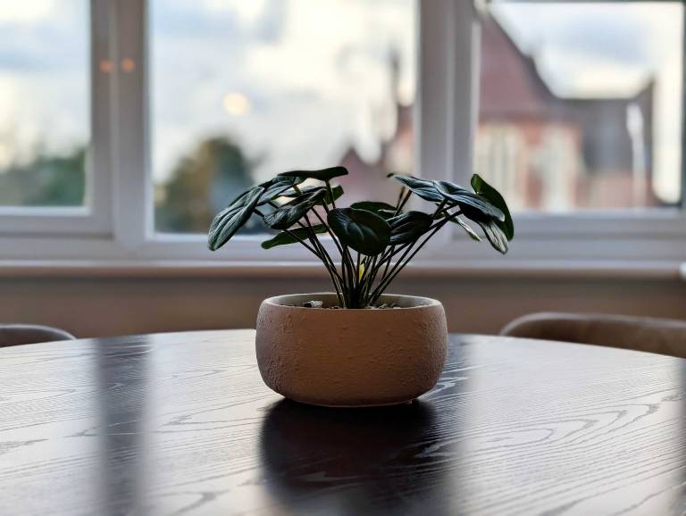 foto22