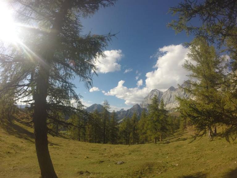 foto16