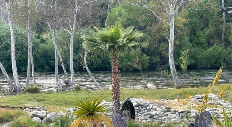Sequoia River Front Cabins in Three Rivers, CA