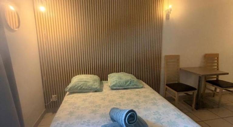 Pleasant holiday apartment with private pool | Pets allowed in Aix-en-Provence