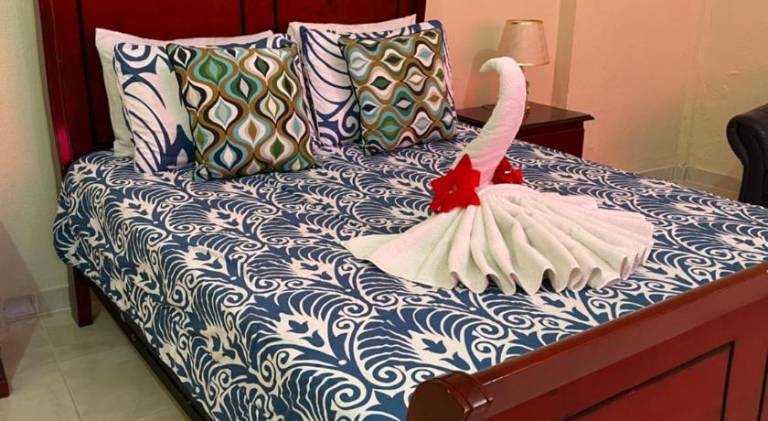 Wonderful serviced apartment with terrace | Dogs allowed in Santo Domingo