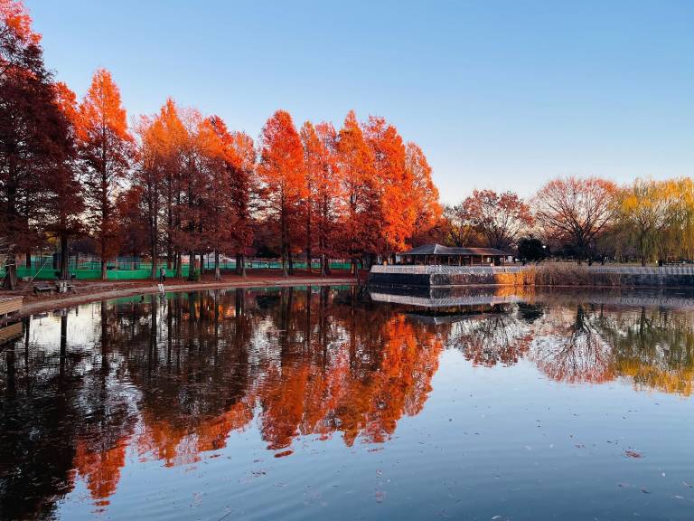 一軒家 大山町