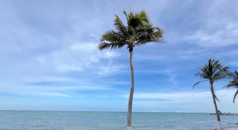 Condominiums By The Sea in Costa Mujeres