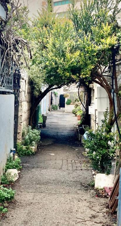 foto16