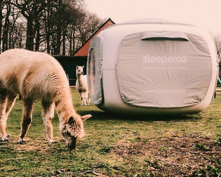 Camping-Unterkunft Herzberg (Elster)
