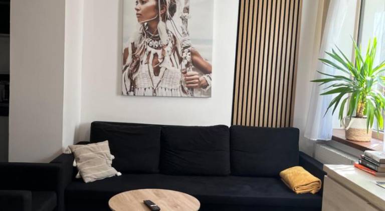 Pleasant apartment | Pets are welcome in Torun