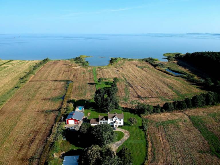 Farmhouse  Taylors Island