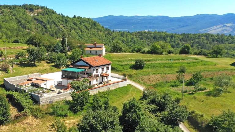Apartman Borut