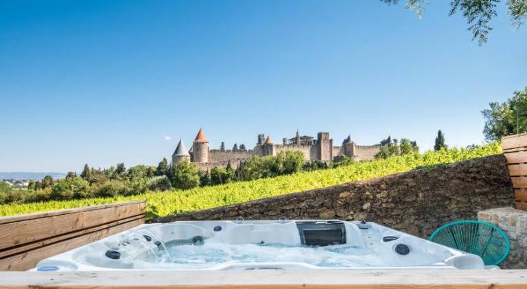 House with jacuzzi & pool — photo 5