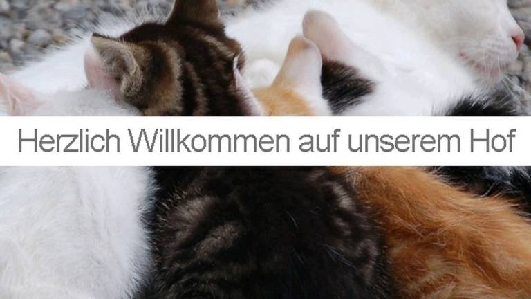 Ferienwohnung Buchloe