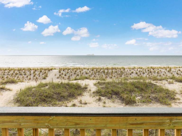 Tybee Lights 114C — photo 4