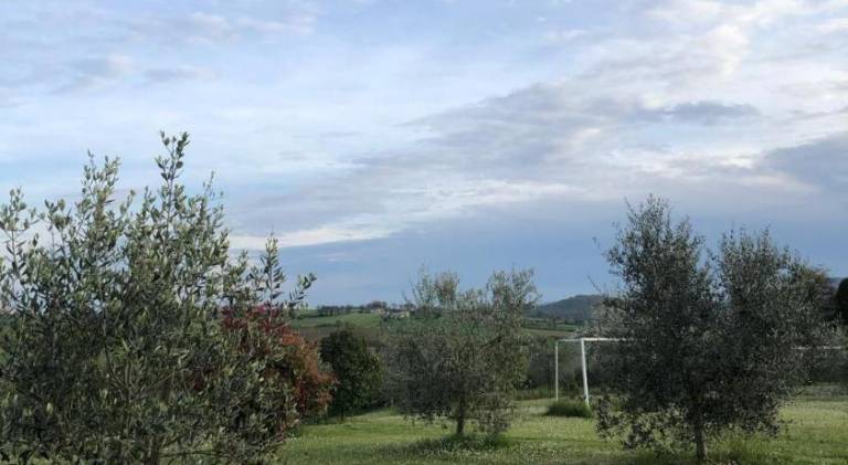 foto8