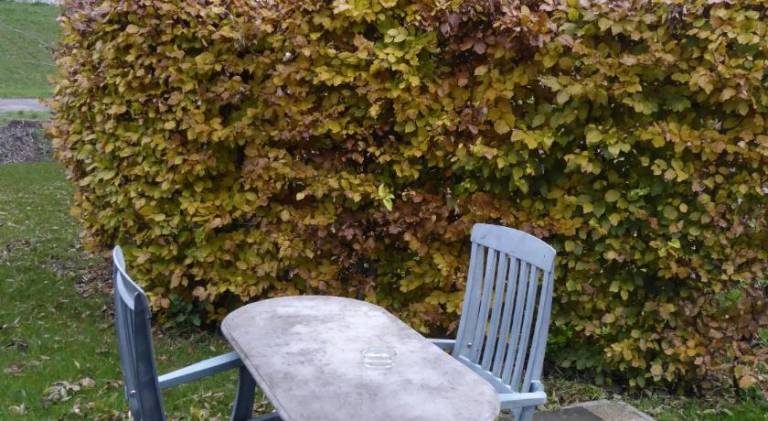 foto5