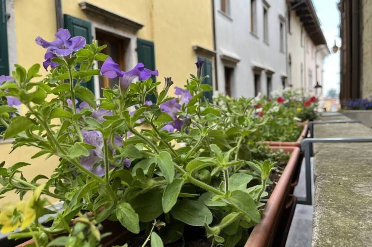 Bed & Breakfast  Cividale del Friuli