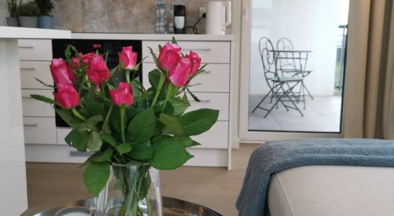Holiday apartment with terrace — photo 5