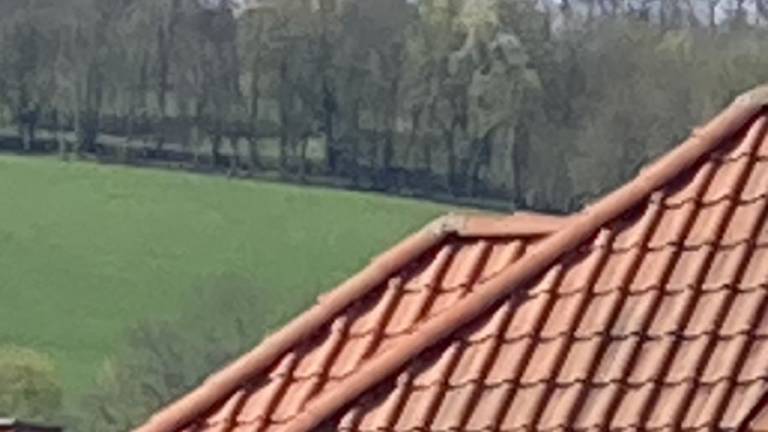 Ferienwohnung Eisenach