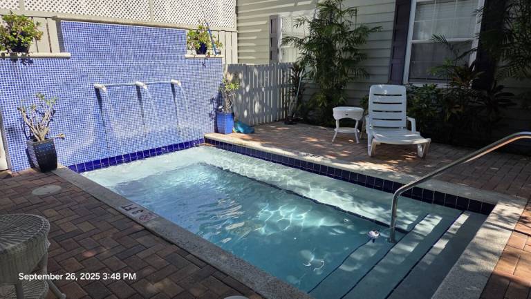 House with barbeque, garden & heated pool | Near Southernmost Point | Garden view in Key West, FL