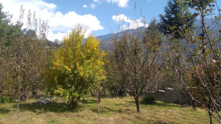 foto43