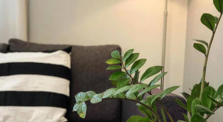 Holiday apartment with garden | Dogs allowed in Kefalonia