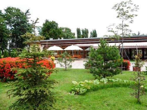 Bed & Breakfast Brzezina