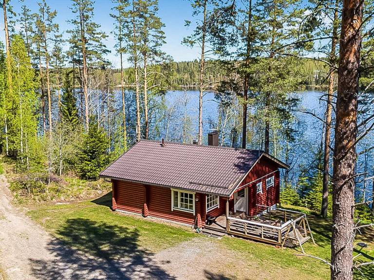 Ferienhaus mit Hund in Hartola, Südfinnland für max. 6 Personen