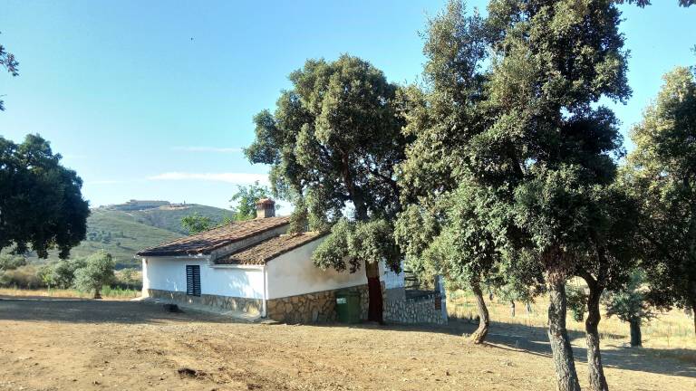 Casa Guadalupe