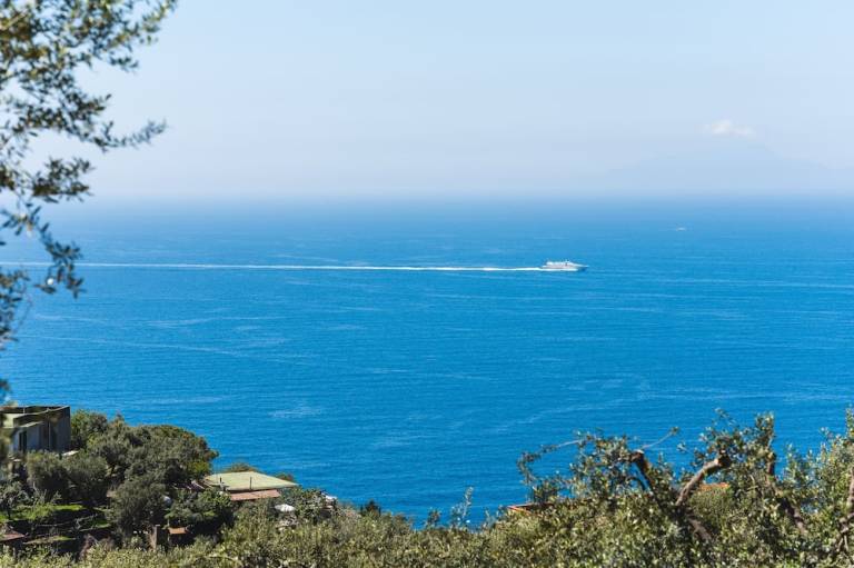 Bed & Breakfast  Sorrento