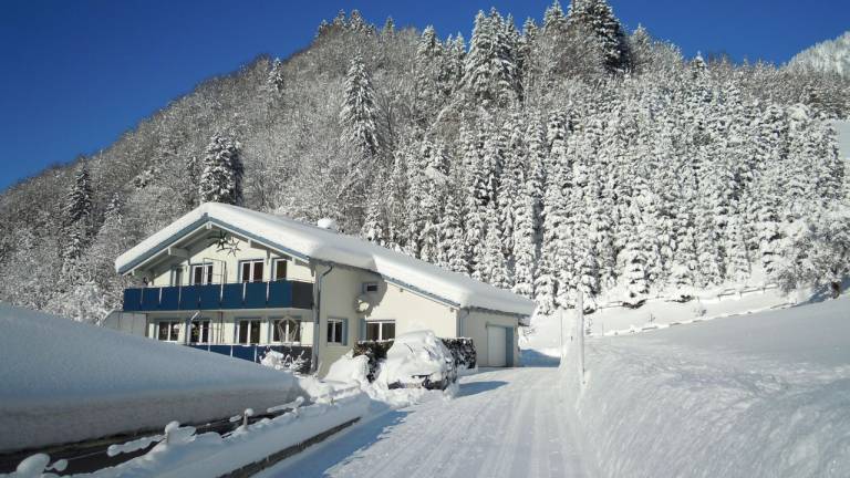 Ferienwohnung Silbertal