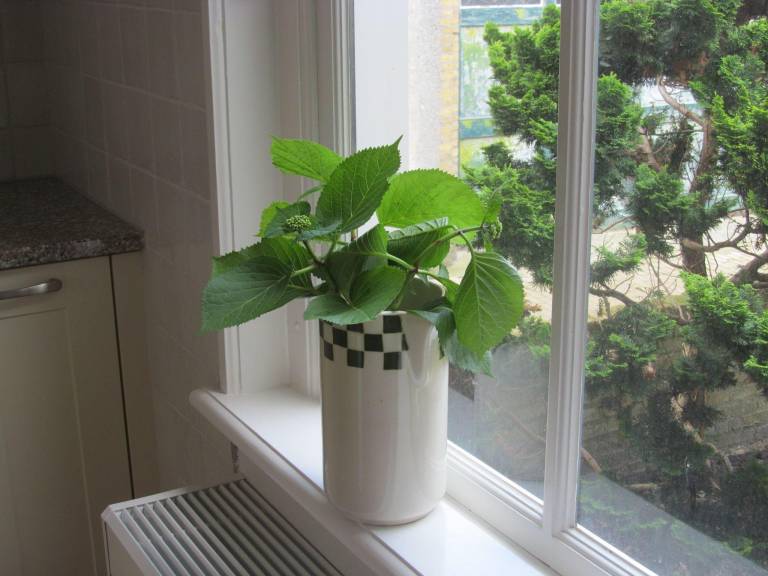 foto15