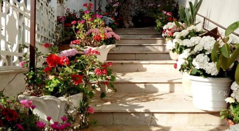 La Scogliera Bed & Breakfast — photo 4