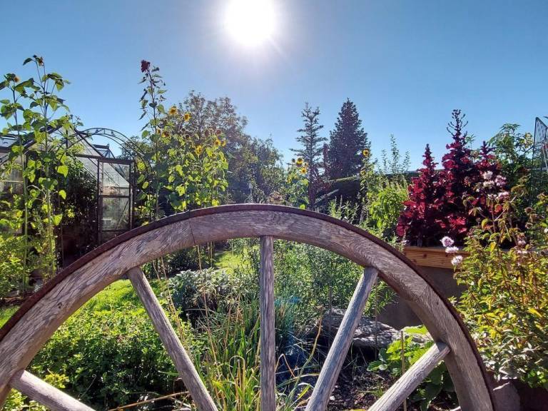 Ferienwohnung  Olbernhau