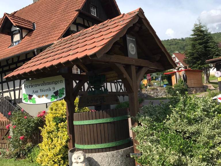 foto14