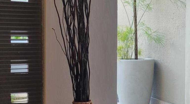 foto22