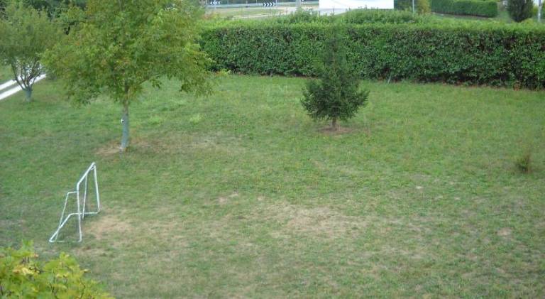 foto31