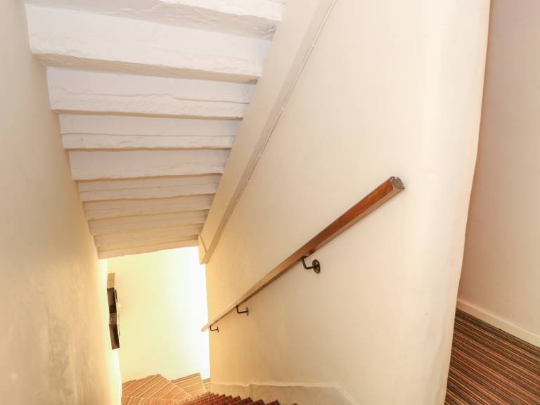 foto12