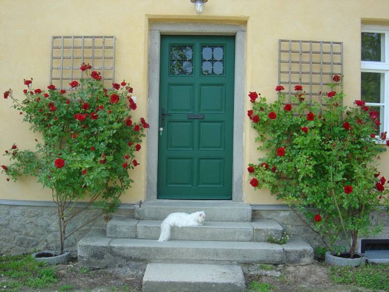 foto19